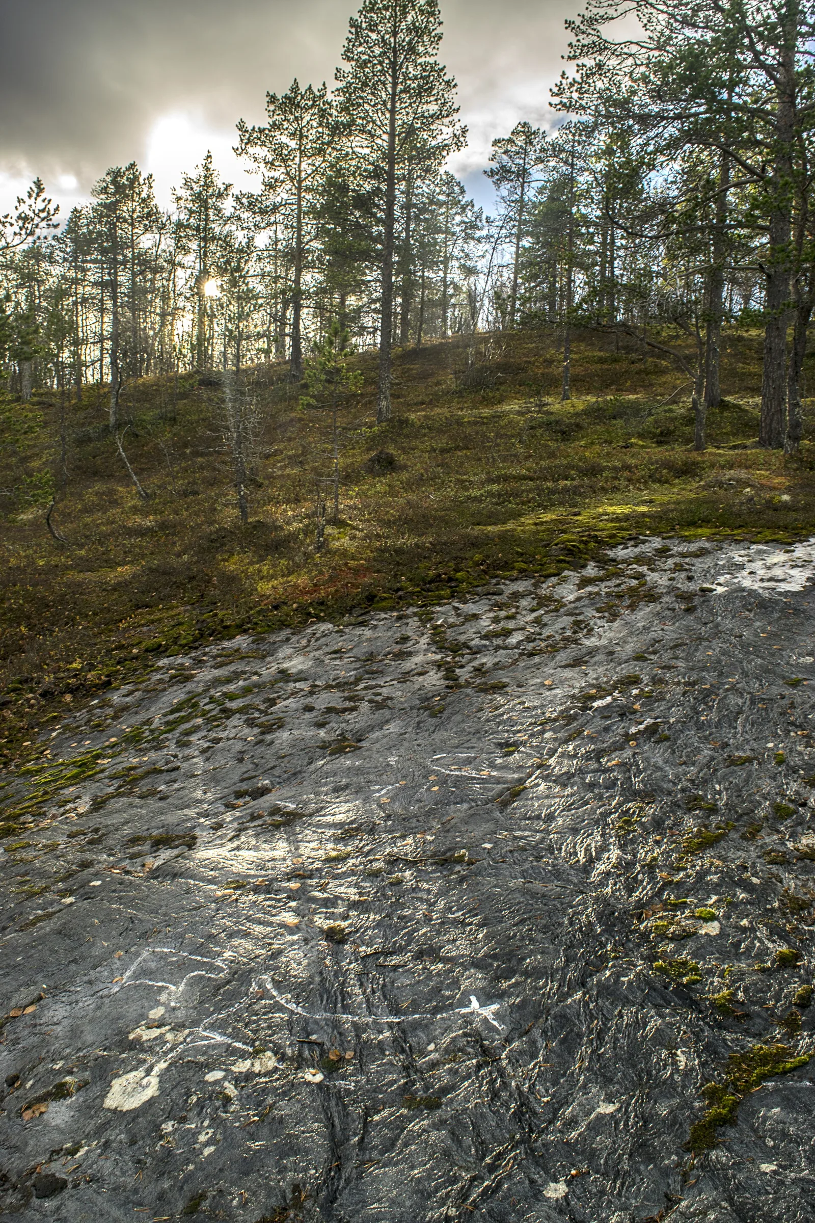 Rock Carvings at Åsli